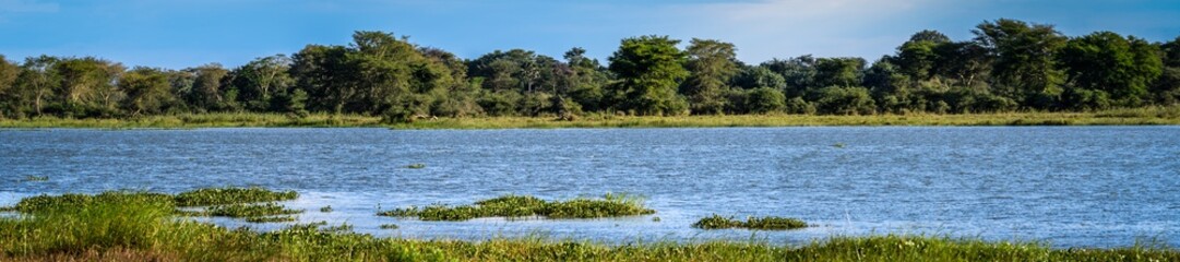 Afrikas Baum- und Pflanzenwelt