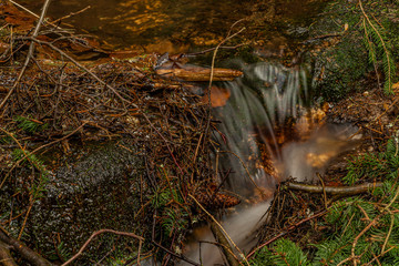 Drive of creek in mountains Krusne in north Bohemia in spring day
