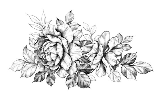 Hand drawn Floral Composition with Two Roses