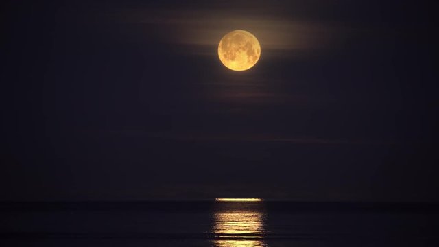 Full moon through hazy clouds reflecting in calm ocean over low flying birds Iceland.mov