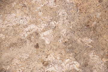 Rough grunge wall surface texture