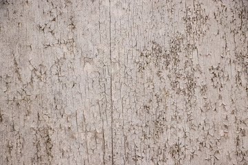 White painted grunge wall rough texture
