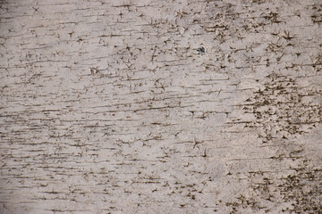 White painted grunge wall rough texture