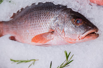 fresh fish on ice for selling at the market