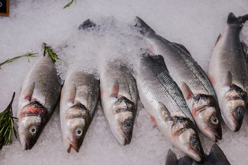 fresh fish on ice for selling at the market