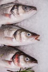 fresh fish on ice for selling at the market