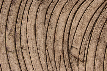 Curved concrete plaster lines texture