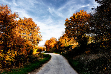 Obraz premium road in autumn