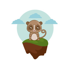 Obraz na płótnie Canvas monkey tarsier animal in landscape natural