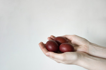 Unrecognizable women hand holding up three eggs. Knocking a red Easter egg. Old holiday tradition. Isolated on white background. Text empty space. Happy Easter!