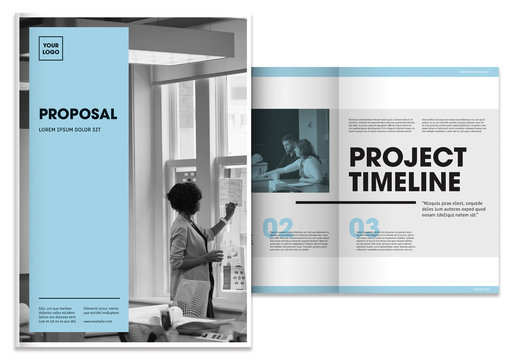 White and Light Blue Proposal