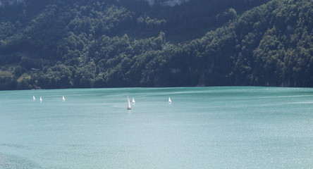 Barca a vela nel lago in estate