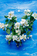 jaśminowiec © dusiowa