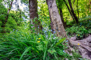 Fototapety na wymiar - Fototapeta24.pl