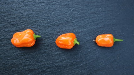 Row of three Habanero chili peppers