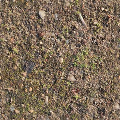 High resolution seemless texture of forest ground with autumn leaves for 3d modelling with more...