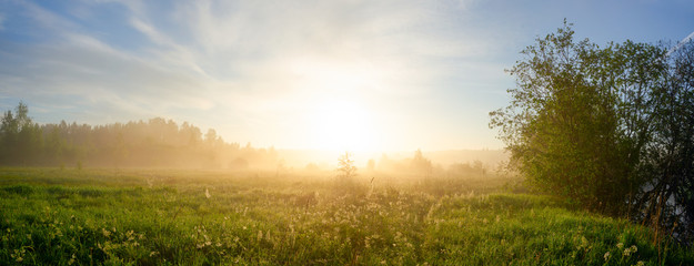 Fototapeta na wymiar Beautiful sunny summer panorama of foggy meadow surrounded by trees at sunrise.