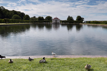 ducks by the water, landscape with house near lake