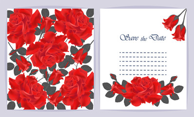 Beautiful background with Roses flowers and space for text. Vector illustration. EPS 10