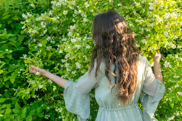 a young girl in a vintage-style dress gently embraces the shrub Philadelphus, a genus of shrubs from the family Hydrangea