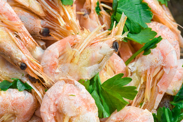Boiled shrimp , close-up