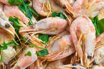 Boiled shrimp , close-up