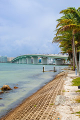 Obraz premium John Ringlng Bridge from Bird Key Park - Sarasota Florida