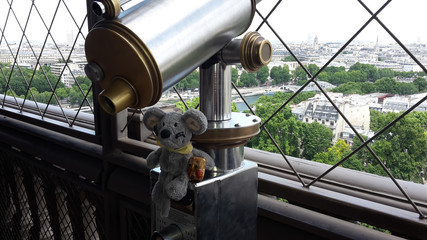 Plüschmaus und Stroheule auf dem Pariser Eiffelturm