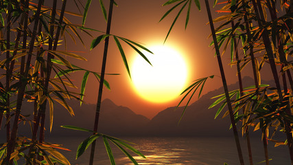 3D bamboo against a sunset landscape