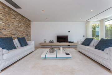 Modern living room with carpets and tv.