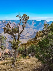Fototapeta na wymiar Sky blue background. Natural landscape. Beautiful nature landscape panorama. Grand canyon national park, arizona, usa.