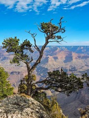 Sky blue background. Natural landscape. Beautiful nature landscape panorama. Grand canyon national park, arizona, usa.
