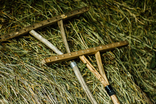 wooden homemade rake for hay in the hayloft. traditional craftsmanship