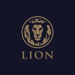 Lion stock photos and royalty-free images, vectors and illustrations
