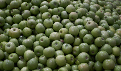 Green apples texture background, close-up. Fresh apples
