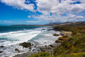 Seascape on California Central Coast under Blue Sky with Spring Flowers