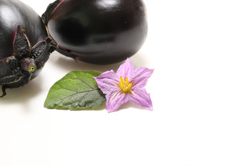 ナスビとナスビの花