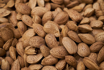 Dried almond in shell texture background. Unpeeled almond