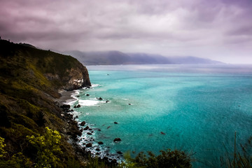 Land and Seascape on California Highway 1 with Turquoise Water and Spring Flowers