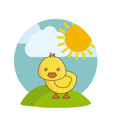 cute chicken animal in landscape natural