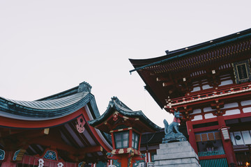 Fototapeta premium Landscape of Fushimi Inari