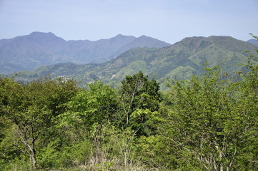 Fototapeta premium 緑の山並