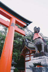 Landscape of Fushimi Inari