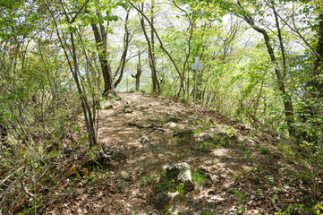 道志山塊 馬立山