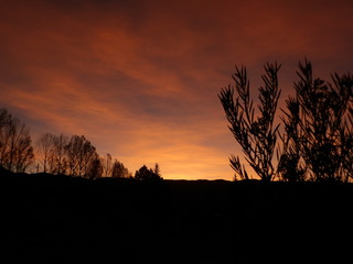 amanecer 1