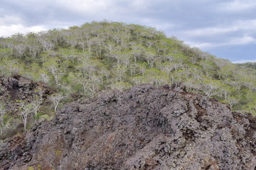 paisaje, Galápagos