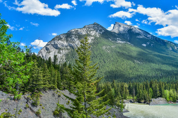 Fototapeta premium View from Bow Falls Trail Banff National Park Canada.