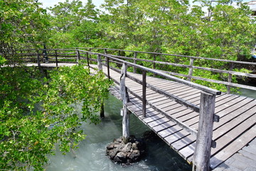 paisaje, Galápagos