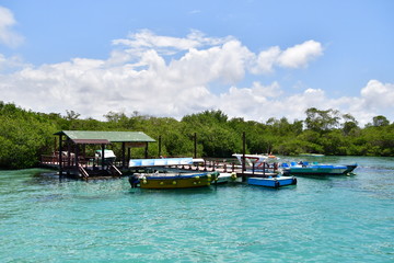 paisaje, Gal&aacute;pagos