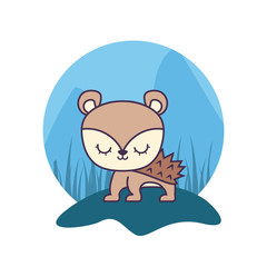 cute porcupine animal isolated icon